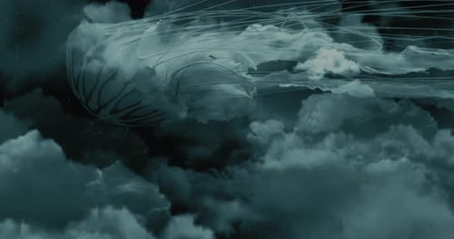 Jellyfish Swim in the Clouds