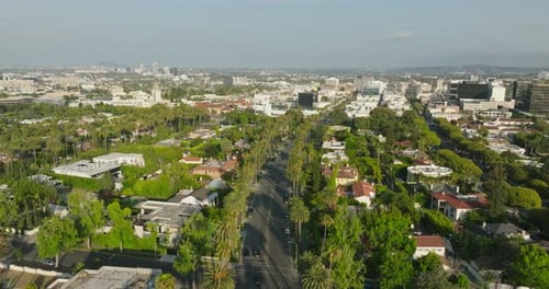 Aerial View of Palm-Lined Streets and Cityscape