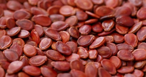 Stack of dry red melon seed for lunar new year