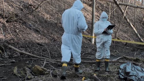 Forensic specialists working in the forest. Crime scene and police concept.