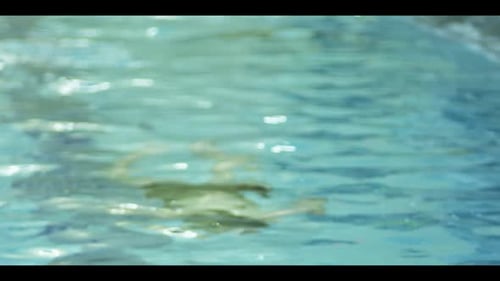 Woman Swims Breaststroke in Indoor Swimming Pool