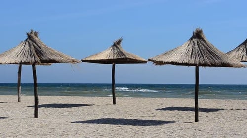 Beach Umbrellas on Sunny Sandy Ocean Shore