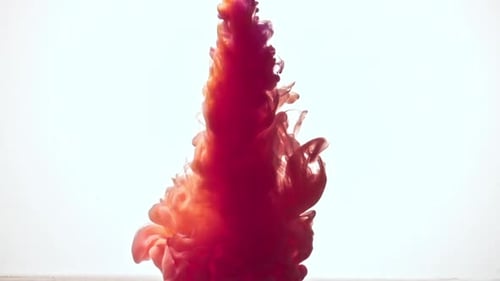 Crimson Ink Bloom Abstractly in Water