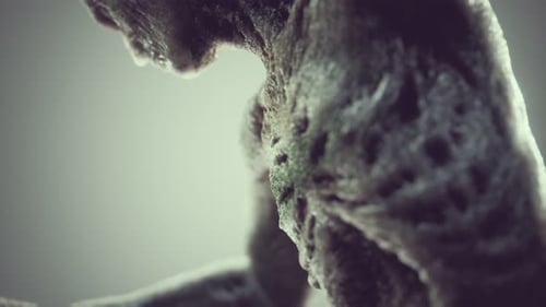 Abstract Organic Textured Body Animation