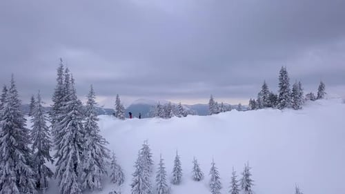Flying Over a Group of Tourists in the Winter Mountains