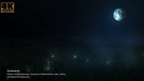 Prairie
