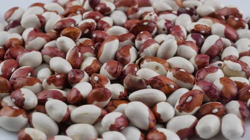 Pile of Colorful Dried Beans Close Up