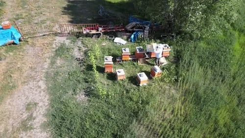 beekeeper at work