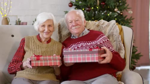 Smiling Senior Couple Holding Christmas Gifts at Home
