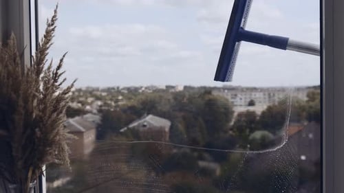 Cleaning the Window