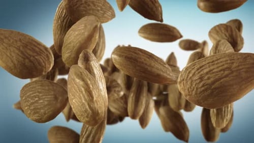 Realistic Close Up Almonds Falling in Slow Motion