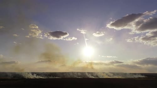 Dry Lanes and Grass on Swamp in Fire, Ecology Disaster