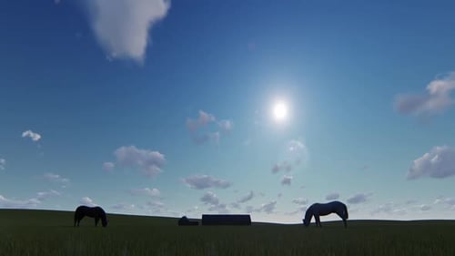 Pferd und Farm