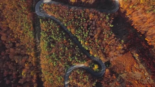 Aerial of Mountain Road in Autumn Forest
