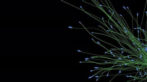 Abstract Organic Lines Growth Transition Alpha Channel