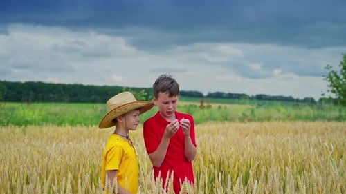 Chicos en el campo