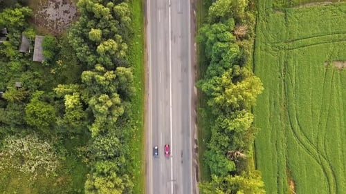 Aerial view of a road with moving cars between green trees.
