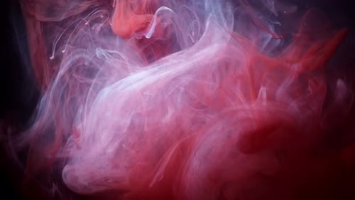 Couleurs d'encre abstraites qui coulent dans l'eau Couleurs d'encre rouge et bleue