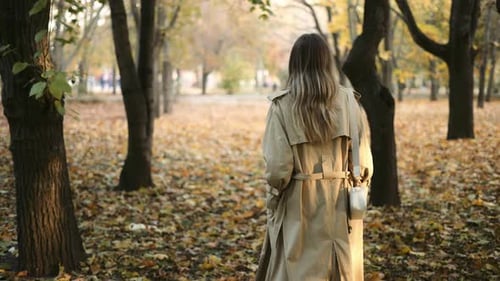 Rear View of an Elegant Woman Walking By Autumn Park