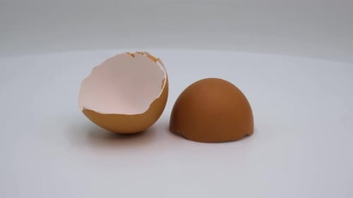 Eggshell