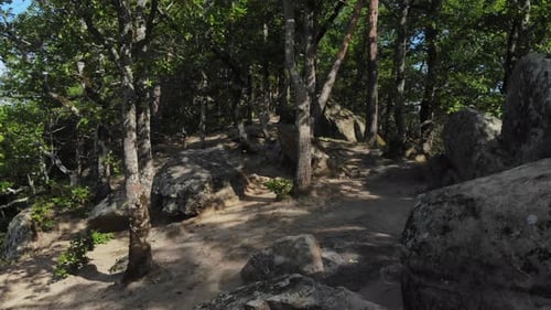 Trail in the forest. Rocky terrain. Footages in the forest.