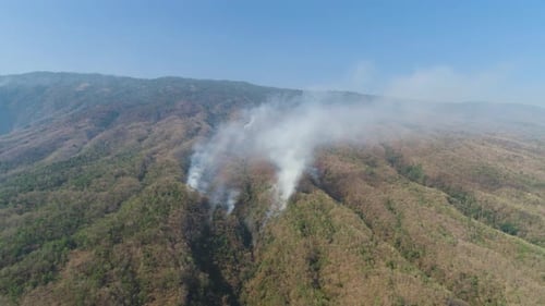 Forest Fire in the Mountains