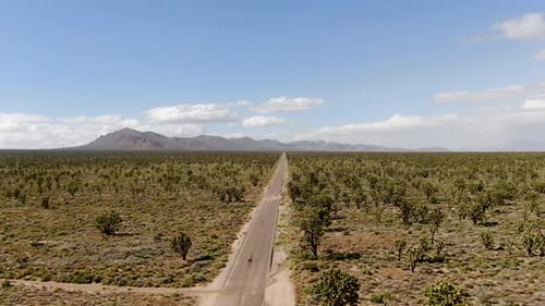 Aerial View of Endless Desert Straight Dusty Asphalt Road in Joshua Tree Park. USA.