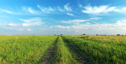 Dirt Path Through Green Field Under Blue Sky