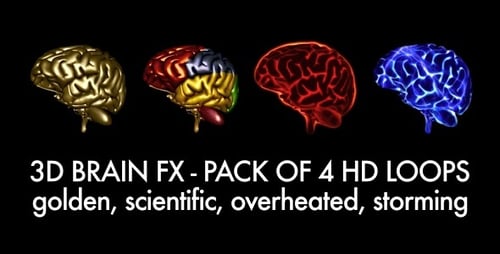 Animated 3D Human Brain for Science and Medical Visualizations
