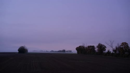 Misty Field at Sunrise With Distant Trees