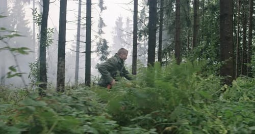 L'action militaire dans une forêt dense répond à une conception terroriste de la guerre et du terrorisme