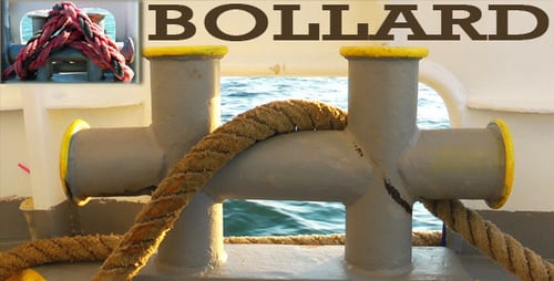 Poller (2er-Pack)