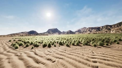 Desert Landscape in Crater National Park