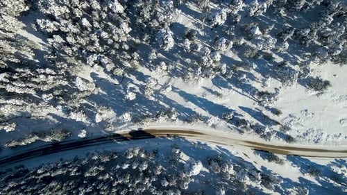 Snowy road through trees and forest