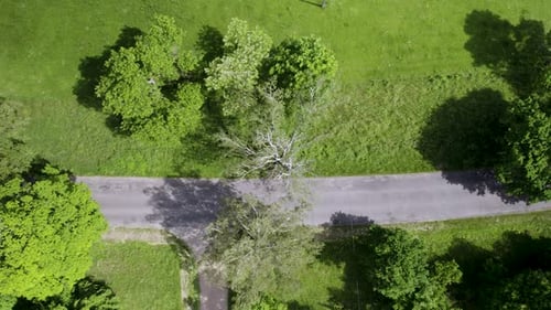 Car and truck driving on countryside asphalt road. Bird's eye view of cars moving on an area surrou