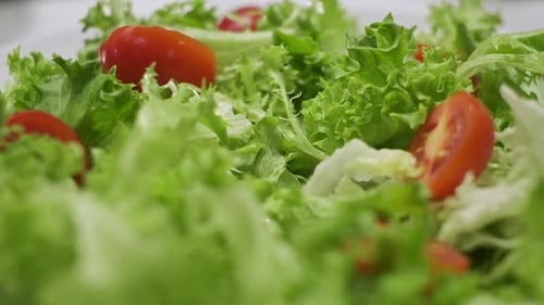 Fresh Lettuce and Tomato Salad Preparation