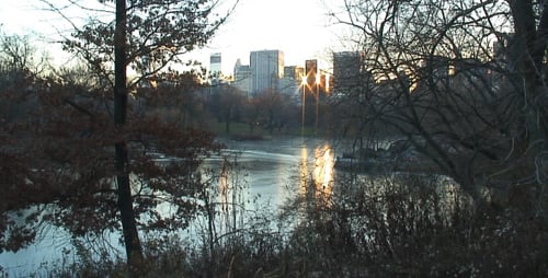 Central Park Frozen Lake