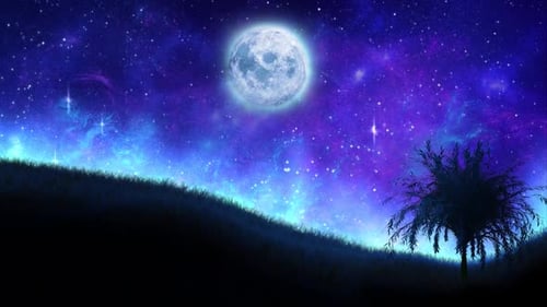 Landscape At Night
