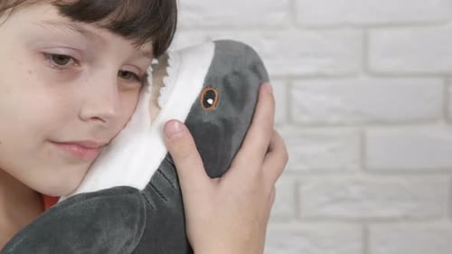 Child Hugging Stuffed Shark Toy Close Up
