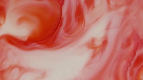Fluid Abstract Motion Background