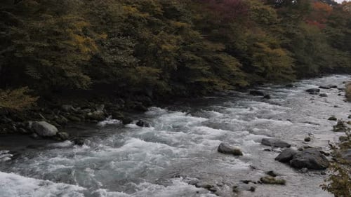 River In Autumn