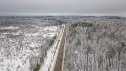 Car On Winter Forest Road