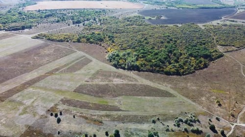 Plain Fields Trees From a Bird's Eye View
