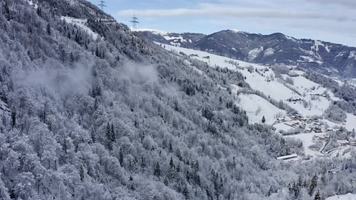 Fir Trees in the Mountain Range Covered in Snow Aerial Shot