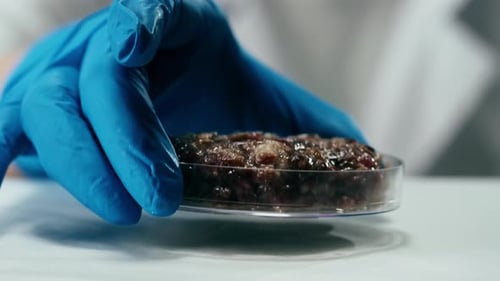 Gloved Hand Places Lab Grown Meat in Dish