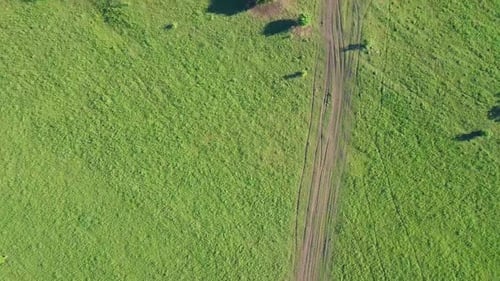 Aerial: Flying Over Solar Fields. Also Visible: Forest, Tourists on Horseback. View: Vertically Down