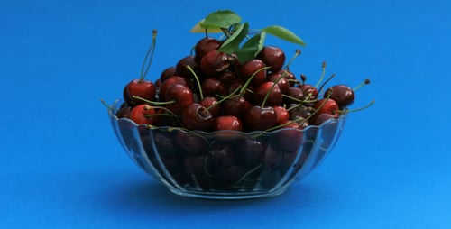 Bowl Filling Up with Fresh Red Cherries