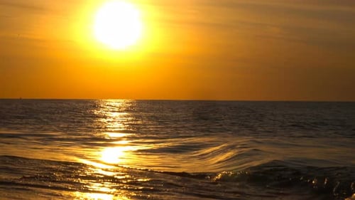 morning sea coast background dawn