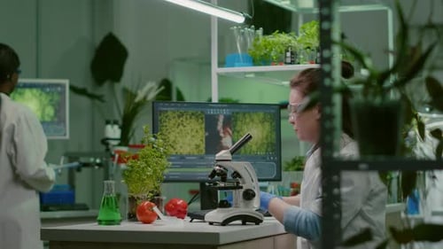 Scientist Analyzing Plant Samples Under a Microscope