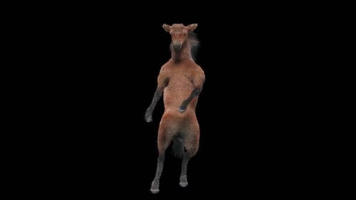 Funny 3D Animated Dancing Horse on Alpha Channel